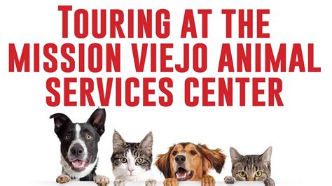 Michelle Tours The Mission Viejo Animal Services Center Youtube