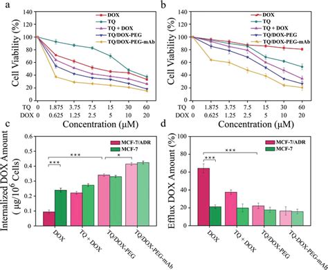 Cell Viability Of A MCF 7 Cells And B MCF 7 ADR Cells After 48 H