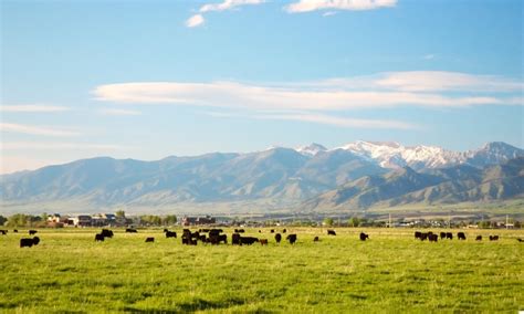 Places To Visit Bozeman Montana Alltrips