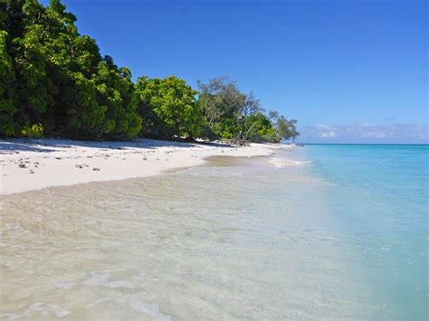 North West Island Capricornia Cays National Park Parks And Forests