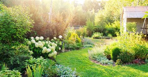 J ai transformé mon jardin en béton en une oasis de rêve