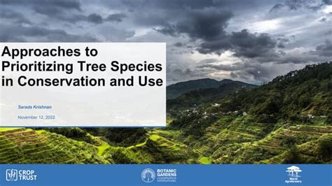 Approaches to tree conservation and use | PPT