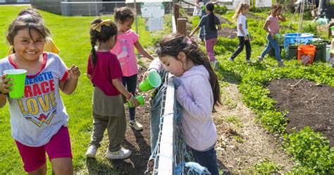 Walla Walla Elementary Students Grow A Connection To Food And Gardens