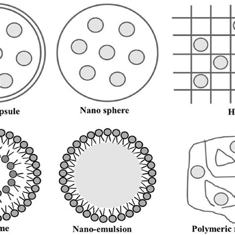 Commonly Used Nano Delivery Systems For Different Purposes Download