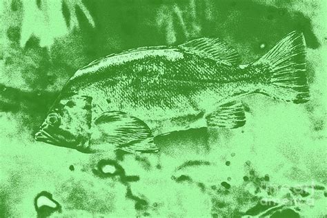 Largemouth Bass 9 Digital Art By Chris Taggart Fine Art America