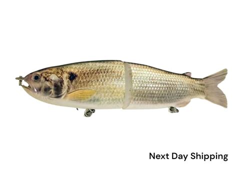 9 The Follow Gizzard Shad Cali Glide Swimbait By Cali Glide Swimbaits