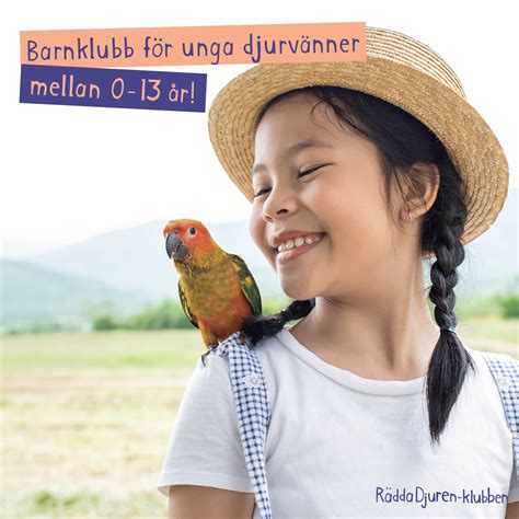 Har Du Ett Barn I Din Närhet Som är Rädda Djuren Klubben