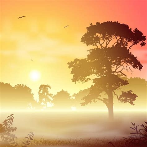 Misty Landscape Stock Vector Image By Binkski