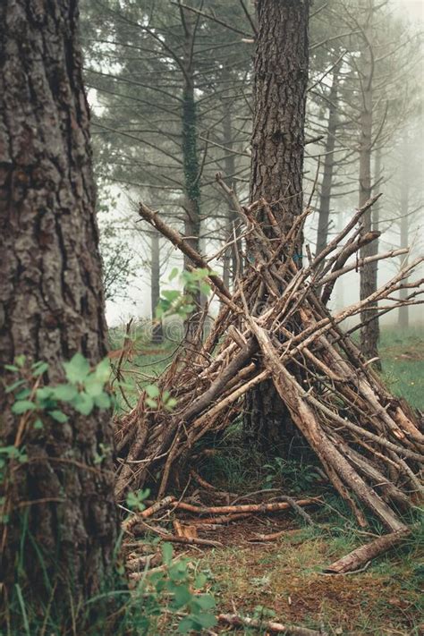 Temporary survival shelter stock photo. Image of forest - 2672262