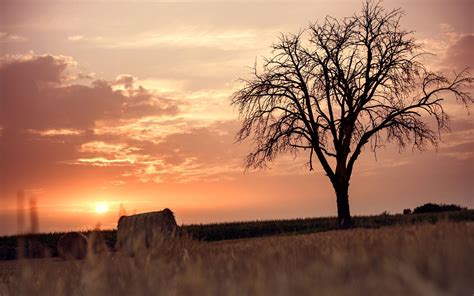 Wallpaper Sunlight Landscape Sunset Nature Sky Field Sunrise