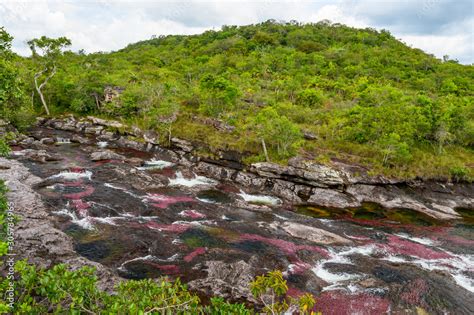 The rainbow river or five colors river is in Colombia one of the most ...