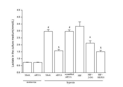 Measurement Of Lactate Levels In The Cell Culture Medium The Media