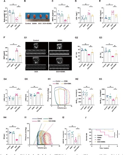 Figure 1 From Semaglutide Attenuates Doxorubicin Induced Cardiotoxicity