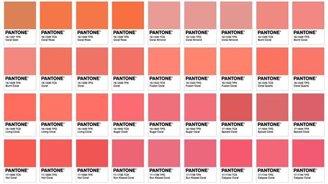 Coral Pink Pantone Photo