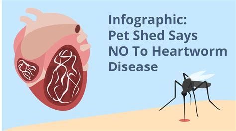 Infographic Pet Shed Says No To Heartworm Disease