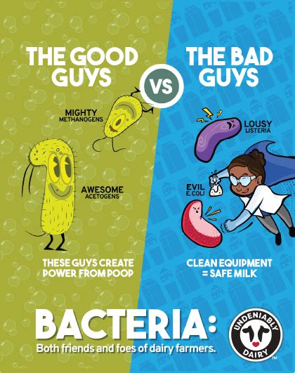 Design Your Experience Kids Poster Good And Bad Bacteria