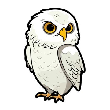 White Owl Cartoon Png Vector Psd And Clipart With Transparent