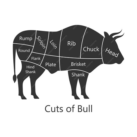 Premium Vector | Bull butchery diagram Cuts of bull Perfect for