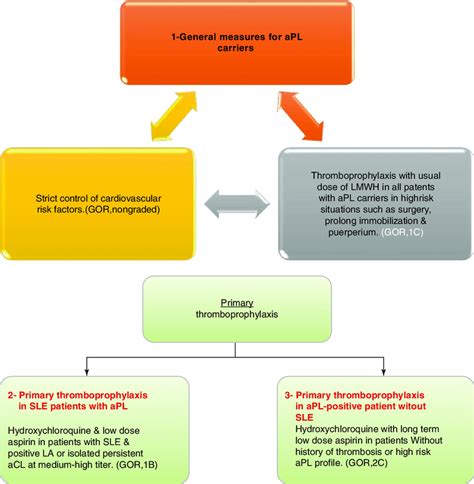 17 Summary Of Management Guideline For Antiphospholipid Syndrome Aps