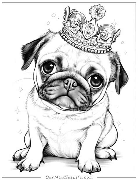 36 Super Cute Pug Coloring Pages Free Printables Our Mindful Life