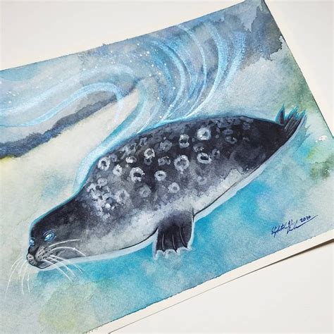 Original Illustration Ringed Seal Etsy