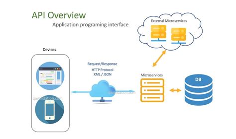 Api For Beginners Structure Examples Benefits Qavalidation