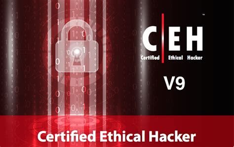 Certified Ethical Hacker V Ceh V Pdf Books Tools