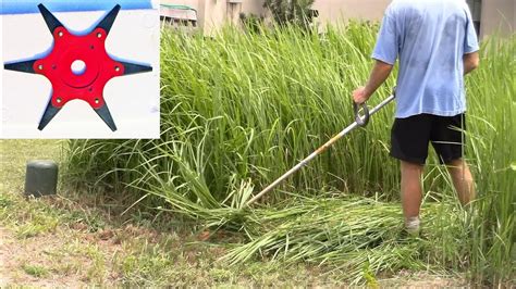 6 Blade Weed Whacker Attachment Cutting Tall Grass Youtube