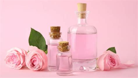 The Benefits Of Rose Water How To Apply Rosewater In Skin