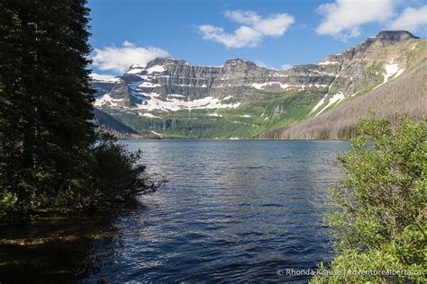 Carthew Alderson Hike Guide To Hiking Carthew Alderson Trail
