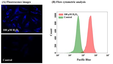 Detection Of Reactive Oxygen Species ROS In Live Cell Mitochondria