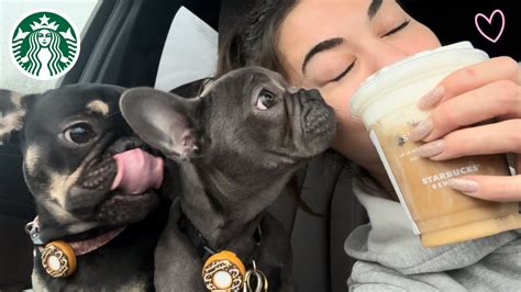 Starbucks New Pistachio Cold Brew And Pup Cups Youtube