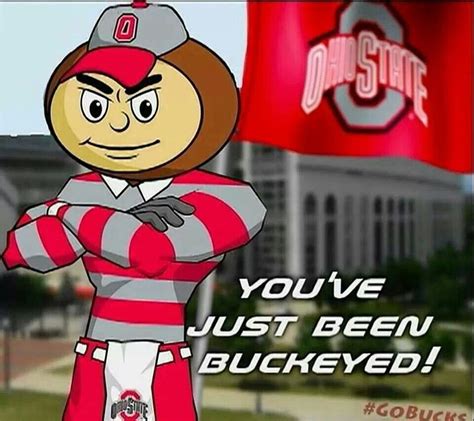 Hey Iowa Youve Just Been Buckeyed Ohio State Buckeyes Football