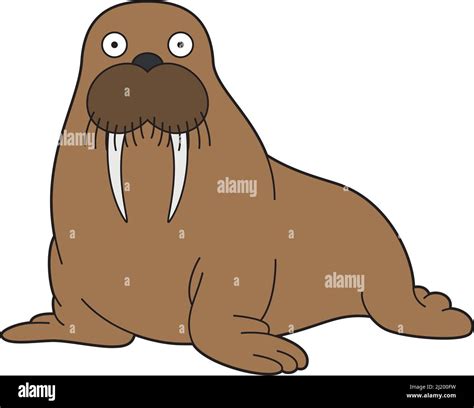 Cute Cartoon Vector Illustration Of A Walrus Stock Vector Image And Art