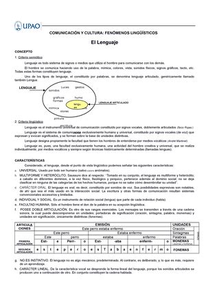 Practica Calificada Morfología ANIV 2 PRÁCTICA CALIFICADA