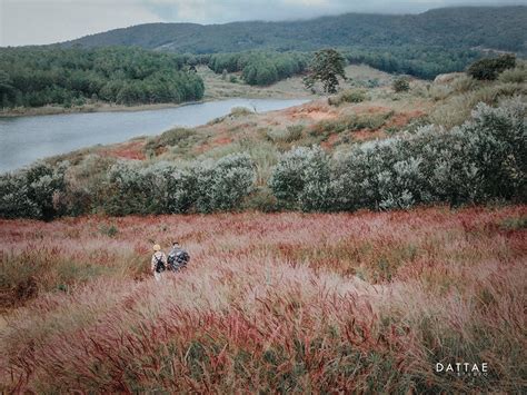 Hcm Hot Trend I L T U Ng Ng M I C H Ng B I Vi T Foody Vn