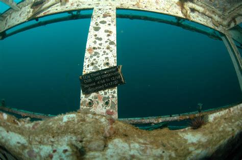 The Great Carrier Reef: The USS Oriskany • Scuba Diver Life