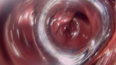 Glass Butt Plug Inside Look V Free Gay Reality Porn Bb Xhamster