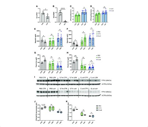 Ldn 193189 And Oversulfated Heparins Inhibit Hepcidin In Vivo In