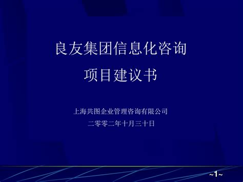 某集团信息化咨询项目建议书word文档在线阅读与下载免费文档