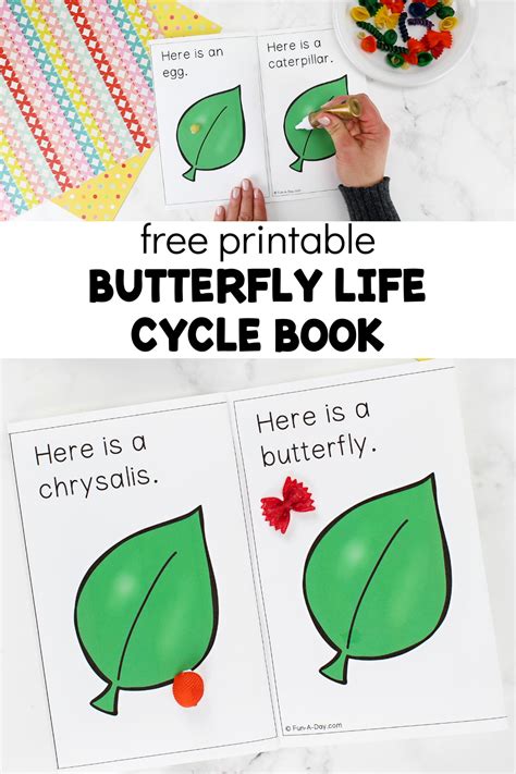 Free Butterfly Life Cycle Printable Book Fun A Day