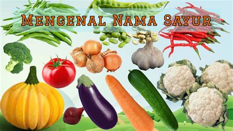 Belajar Mengenal Sayur Belajar Nama Nama Sayuran Dalam Bahasa