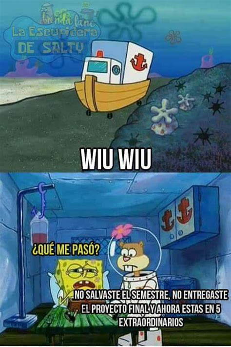 Imagenes Graciosas De Memes De Bob Esponja