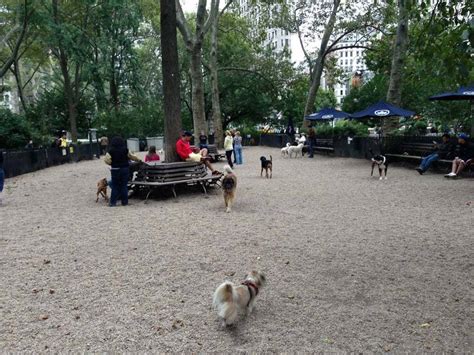 17 Best Dog Parks In New York City