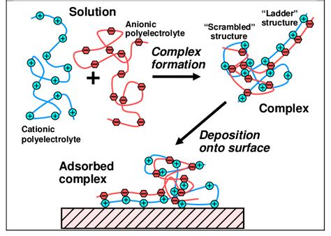 Schematic Illustration Of Polyelectrolyte Complexation As A Means Of Download Scientific