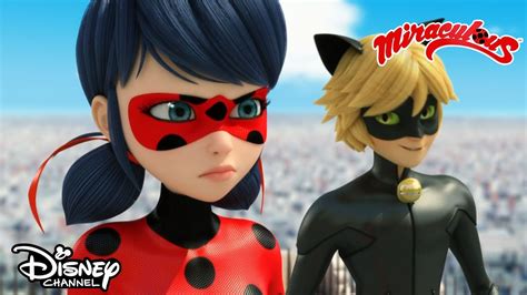 Istniej Dwie Biedronki Miraculous Biedronka I Czarny Kot