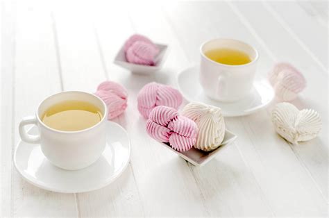 7 Best White Tea Brands To Help You Relax (2024)