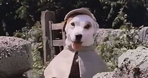 ‘wishbone Movie In Development Produced By Peter Farrelly