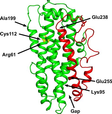 A Mechanism For Lipid Binding To Apoe And The Role Of Intrinsically