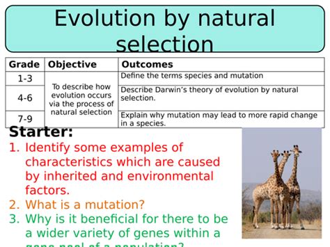 New Aqa Gcse Trilogy 2016 Biology Evolution By Natural Selection